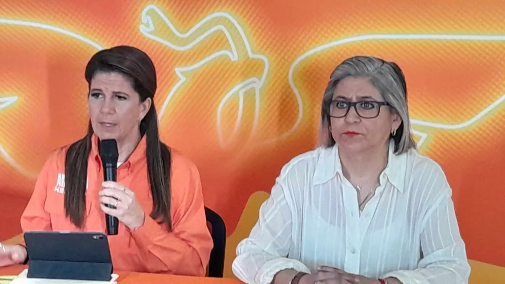 Pide Martha Herrera a Monterrey que retire telarañas de las calles 3 Martha Herrera exige a las autoridades que se retire telarañas de las calles en Monterrey.