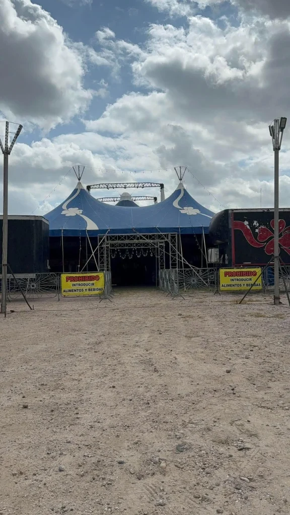 Del circo tradicional al terror: buscan reinventarse para sobrevivir 2 Elenco y producción del circo tradicional transformado en espectáculo de terror en Reynosa.