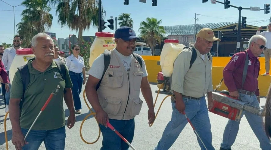 Jornadas de fumigación y prevención del dengue en Reynosa