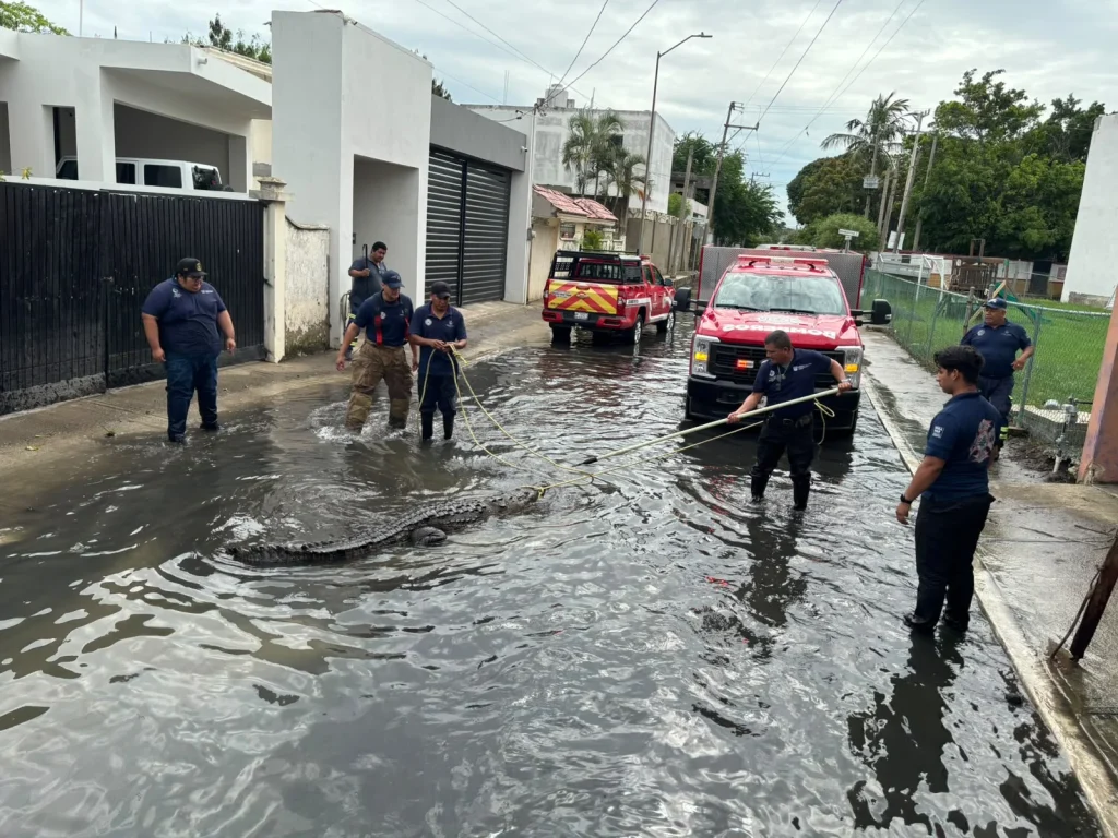 Madero mantienen vigilancia y acciones preventivas ante posibles fenómenos meteorológicos 1 ae2b3362 4f87 482b a542 e55d623220ae