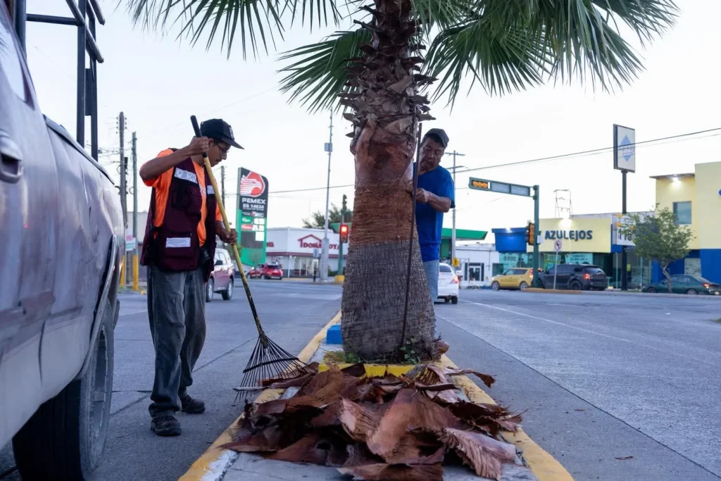 Alberto Granados refuerza mantenimiento urbano y rehabilitación vial en Matamoros 6 alberto granados matamoros mantenimiento 6
