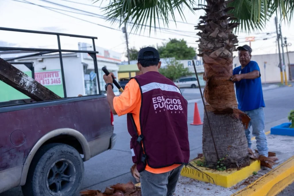 Alberto Granados refuerza mantenimiento urbano y rehabilitación vial en Matamoros 8 alberto granados matamoros mantenimiento 7