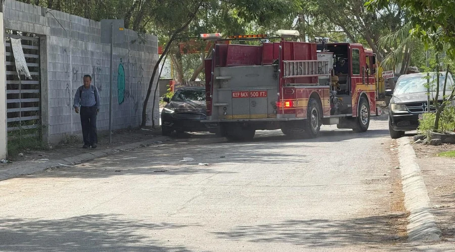 ataque-de-abejas-reynosa-01 Al menos 80 personas, entre alumnos y docentes, resultaron afectados por picaduras en un ataque de abejas