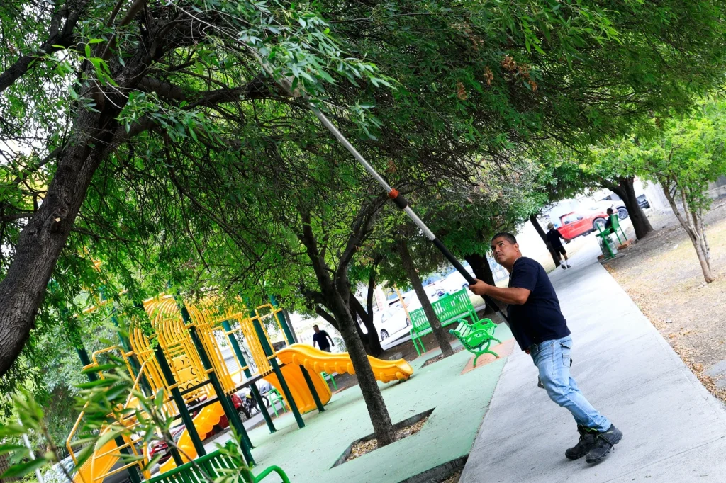 Restaura Guadalupe luminarias en colonia Camino Real 3 b20fb8e0 5406 4284 9996 eae516d89578