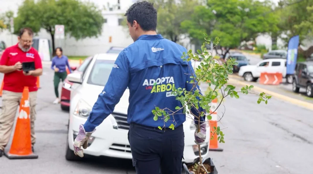 cultura-ambiental-adopcion-arboles-monterrey Jornada de adopcion de arboles para fomentar la cultura ambiental en Monterrey