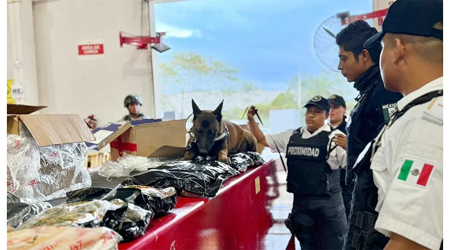 decomisan-6-kilos-marihuana-escobedo Decomisan 6 kilos de marihuana en una empresa de paquetería en el municipio de Escobedo.