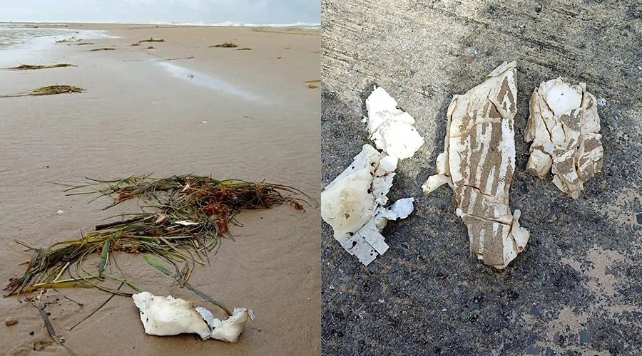 encuentra-conibio-global-basura-espacial-en-playa-bagdad Nuevos fragmentos de material que presuntamente estarían relacionados con residuos espaciales por lanzamientos del mega cohete Starship comenzaron a ser detectados en Playa Bagdad, de acuerdo con Conibio Global, organización que realiza recorridos de monitoreo en la zona.