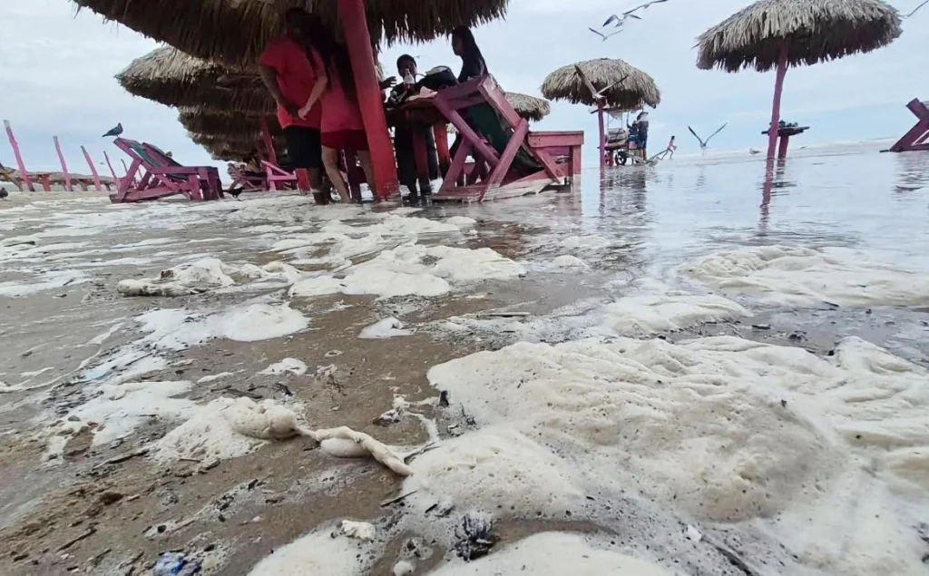 Reportan espuma y fuerte oleaje en Playa Miramar 1 espuma fuerte oleaje playa miramar 22
