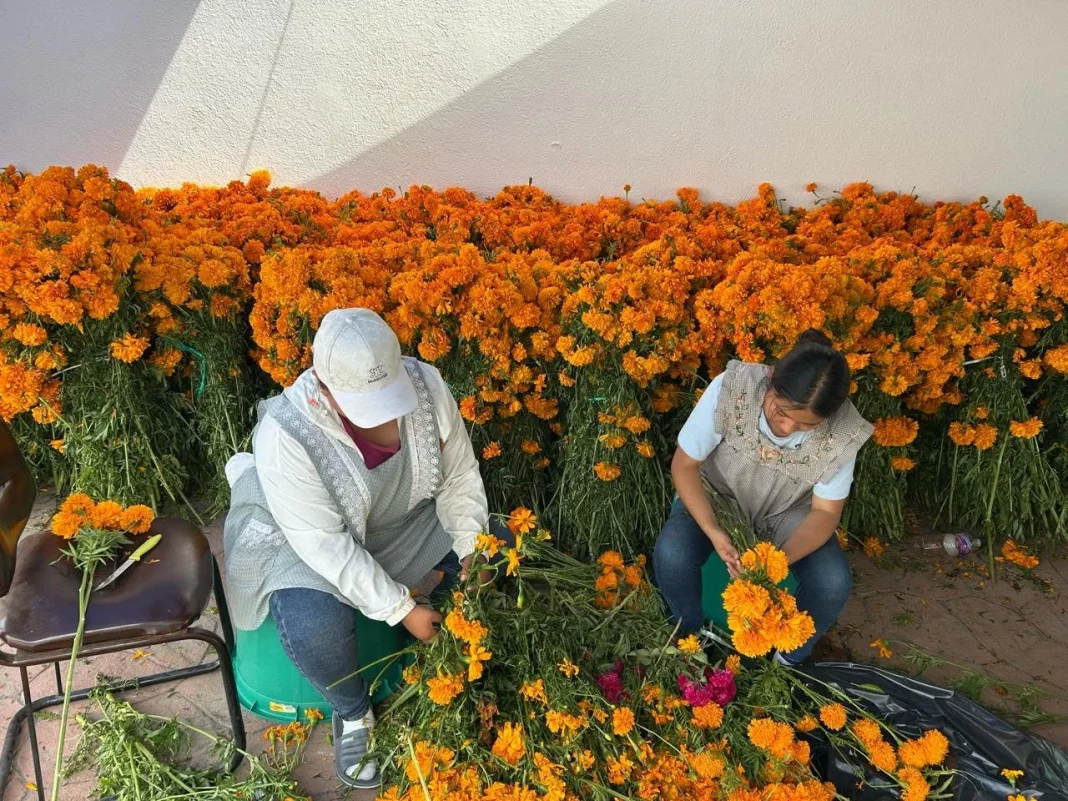 floristas-de-provincia-reynosa Arriban floristas de provincia a Reynosa