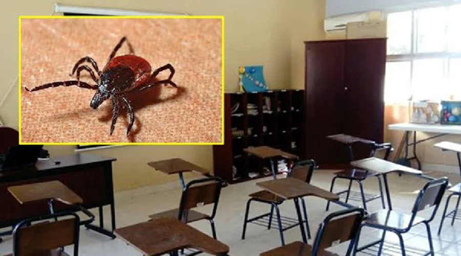 garrapatas-primaria-garcia Primaria de García pide no llevar mascotas ante presencia de garrapatas