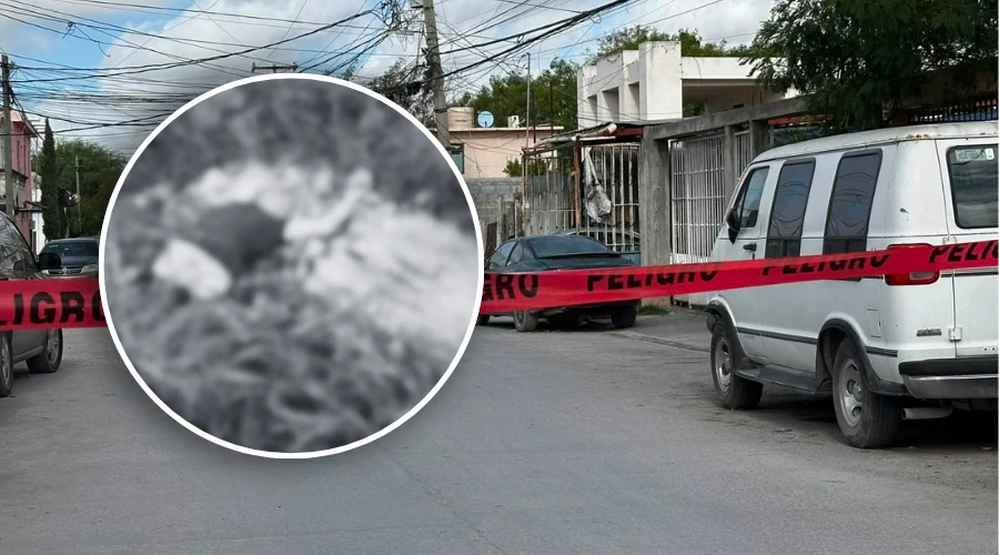 persona-sin-vida-reynosa-01 Una persona sin vida y con visibles huellas de violencia fue localizada en un terreno baldío frente al depósito conocido como La Barbie.