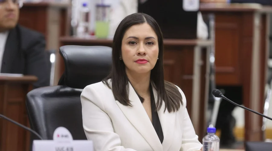 Consejeros perfilan a Blanca Cruz como presidenta interina del INE 1 presidenta interina del ine blanca cruz