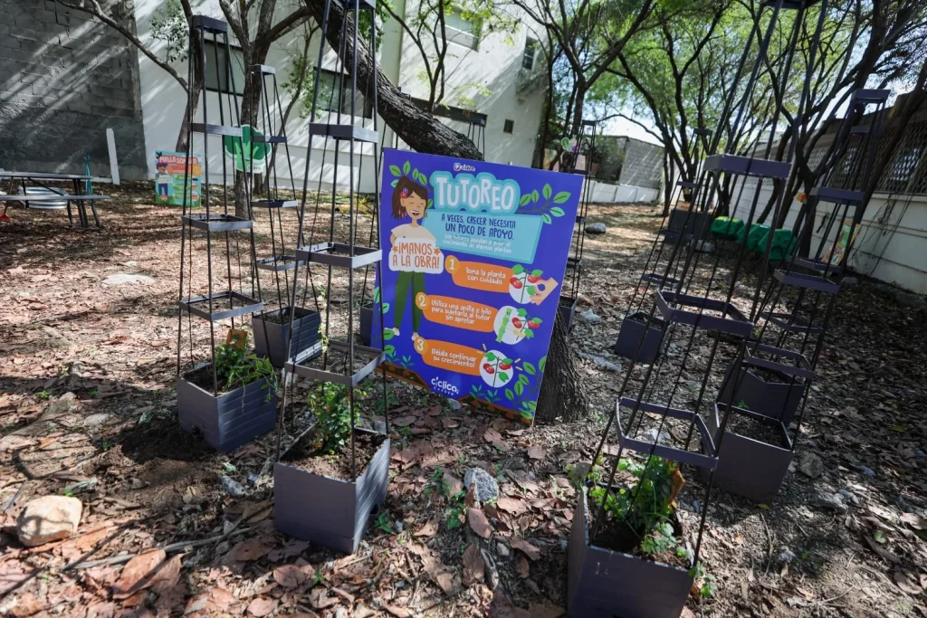 Inaugura San Pedro primera Escuela Ambiental de NL en colaboración con Fundación Cíclica 2 Inaugura San Pedro primera Escuela Ambiental de NL en colaboración con Fundación Cíclica