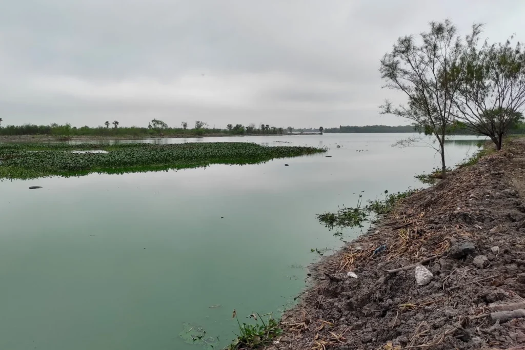 Arranca SEDUMA limpieza de drenes de la Laguna La Escondida 1 Arranca SEDUMA limpieza de drenes de la Laguna La Escondida