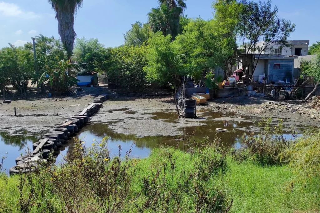 Arranca SEDUMA limpieza de drenes de la Laguna La Escondida 2 Arranca SEDUMA limpieza de drenes de la Laguna La Escondida