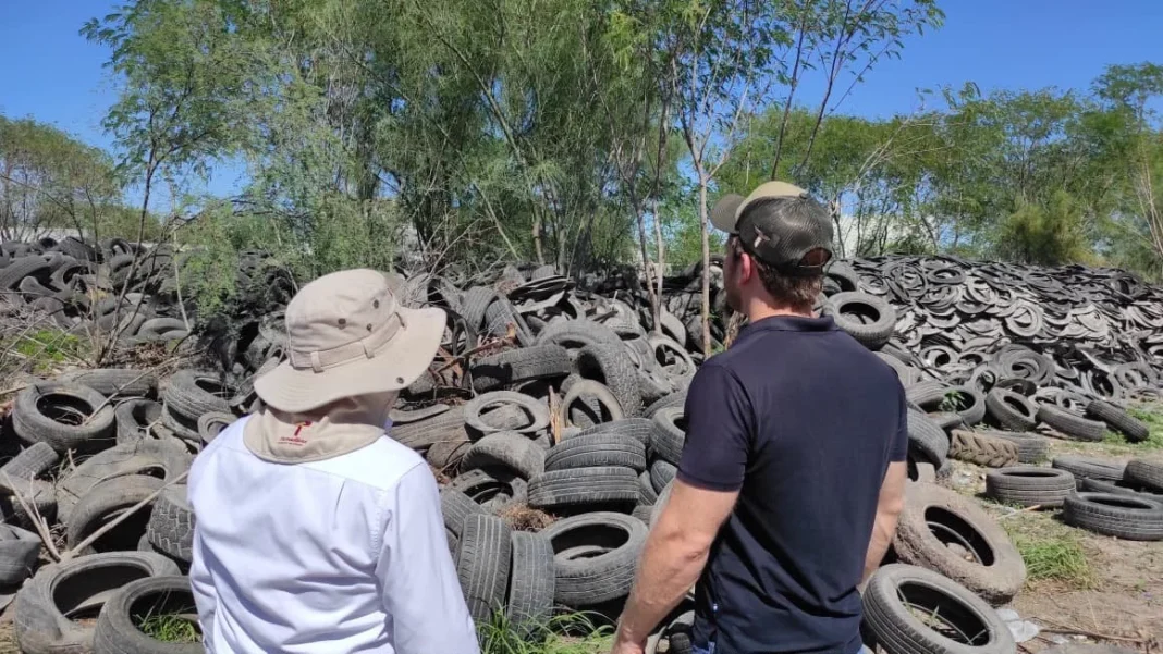 seduma-trituracion-llantas Avanza SEDUMA en trituración de llantas para reducir la contaminación en Reynosa