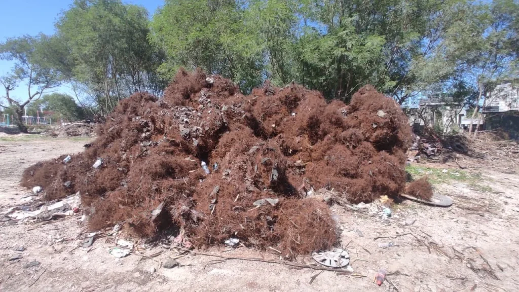 Avanza SEDUMA en trituración de llantas para reducir la contaminación en Reynosa 2 Avanza SEDUMA en trituración de llantas para reducir la contaminación en Reynosa