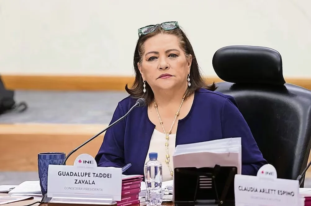 taddei-norona-defensa-ine Gerardo Fernández Noroña defiende a Guadalupe Taddei en redes sociales.